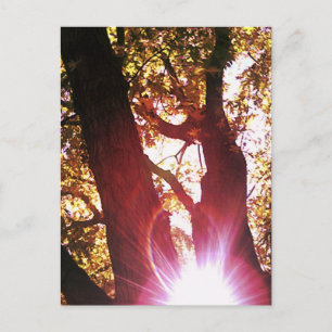 Carte Postale Soleil rouge