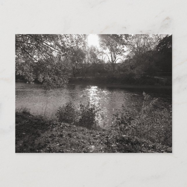 Carte Postale Soleil sur le Taff, Bute Park, Cardiff (Devant)