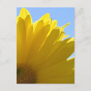 Carte Postale Soleil sur les pétales