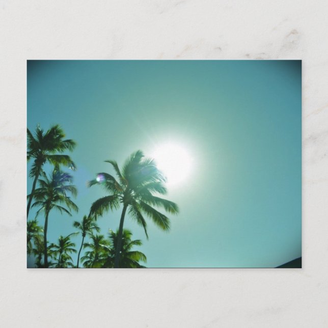 Carte Postale Soleil tropical (Devant)