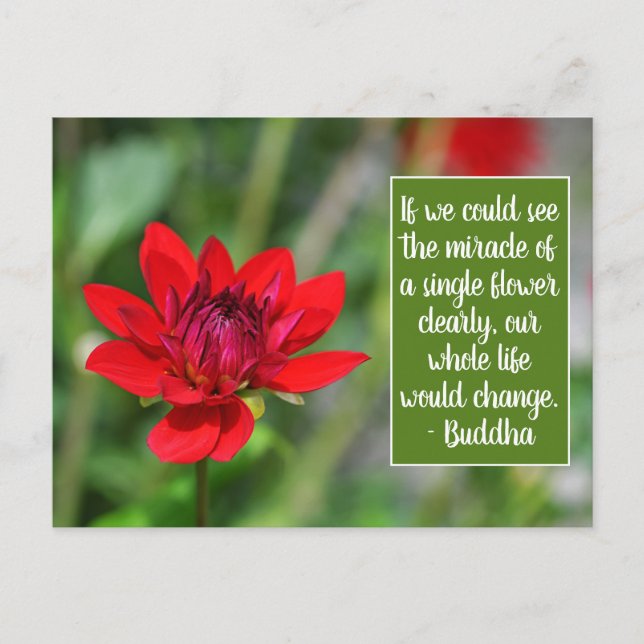 Carte Postale Solitaire Rouge Dahlia Fleur Wisley Motivation (Devant)