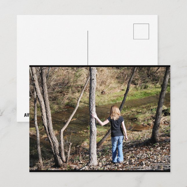 Carte Postale Solitude dans les arbres (Devant / Derrière)