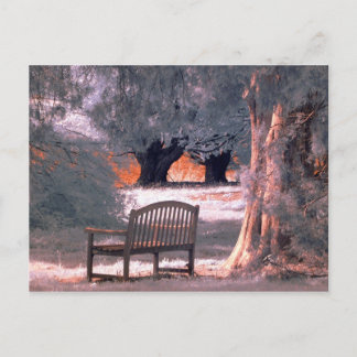 Carte Postale Solitude infrarouge