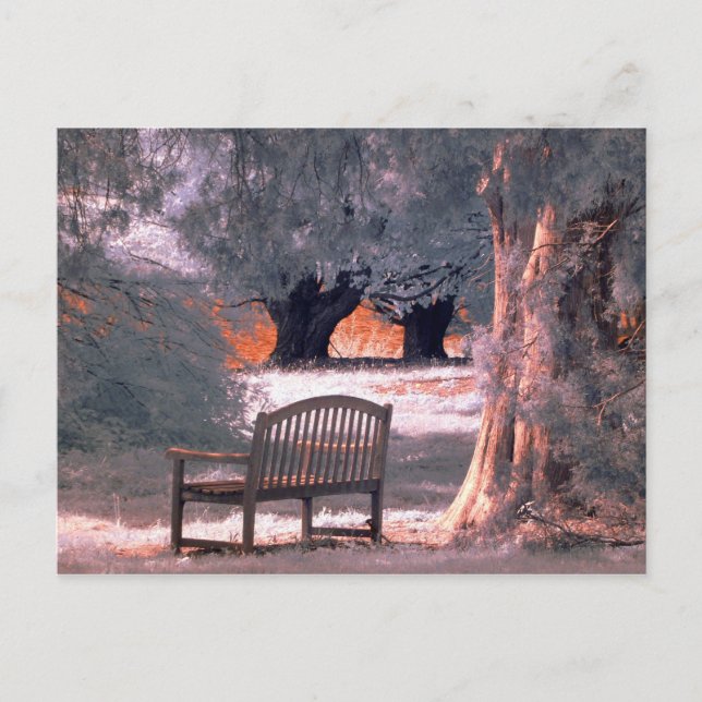 Carte Postale Solitude infrarouge (Devant)