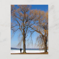 Solitude - Lac Cayuga