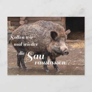 Carte Postale Sollen wien mal wieder die Sau rauslassen? ! ?