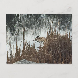 Carte Postale Solstice d'hiver