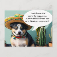 sombrero perro mème