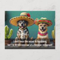 sombreros perros mème