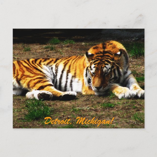 Carte Postale Sommeil (Devant)