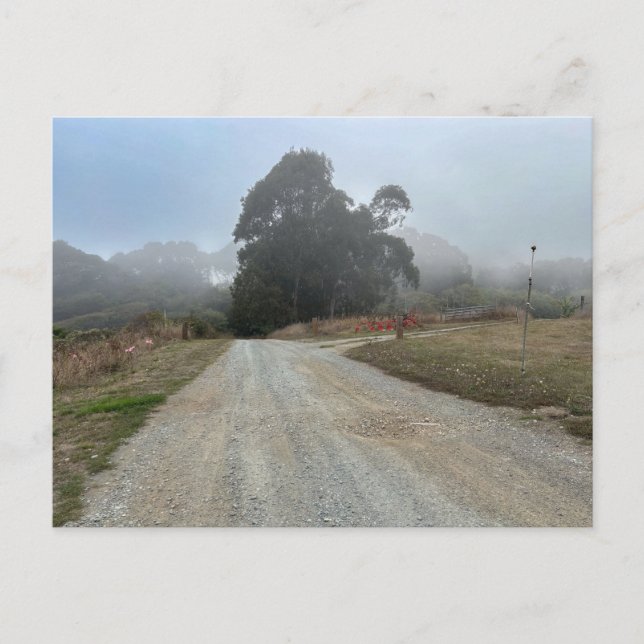 Carte Postale Sommes-nous perdus encore (Devant)