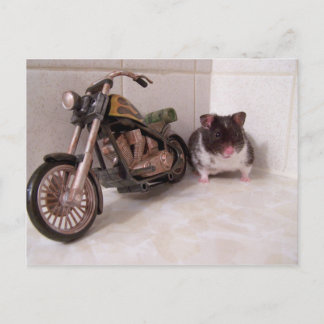 Carte Postale son cycle