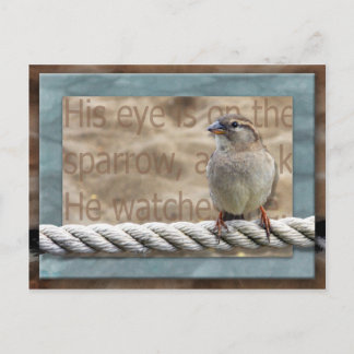 Carte Postale Son oeil est sur le Bruant