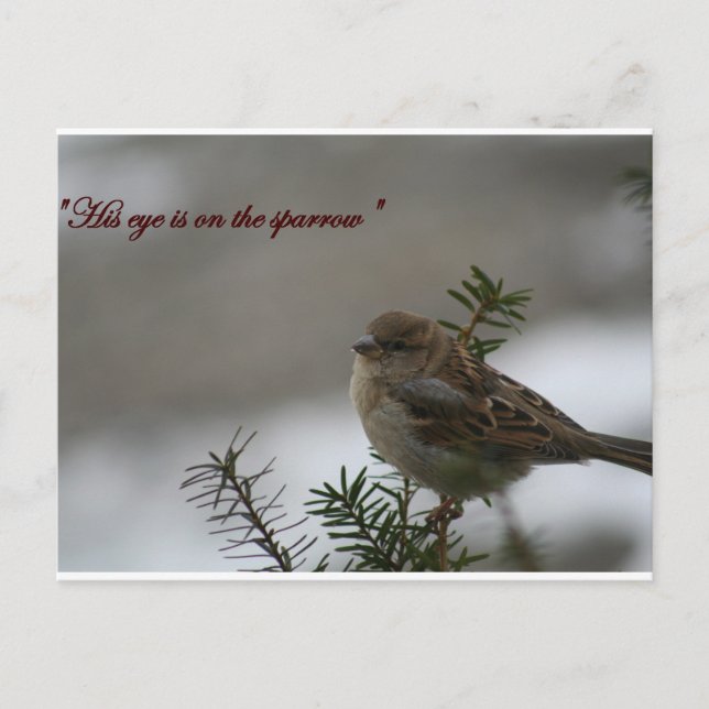 Carte Postale "Son oeil est sur le moineau" (Devant)