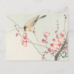 Carte Postale Songbird sur la branche de Blossom Peinture par Oh
