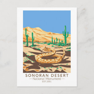 Carte Postale Sonoran Désert National Monument Rattlesnake Retro
