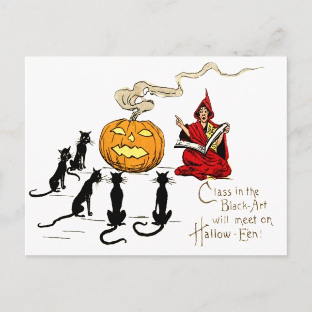Carte Postale Sorcière enseignant au chat noir une citrouille Ja (Devant)