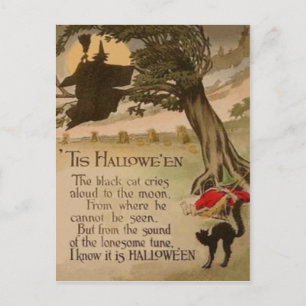 Carte Postale Sorcière Pleine Lune Citrouille Chat Noir