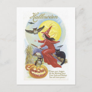 Carte Postale Sorcière volante, chauves-souris, chat, Chouette