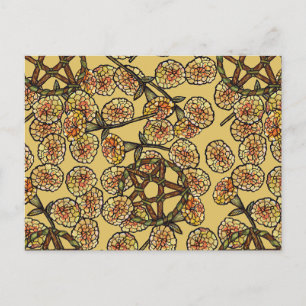 Carte Postale Sorcières de la haie du Pentacle de la Sorcière Ve