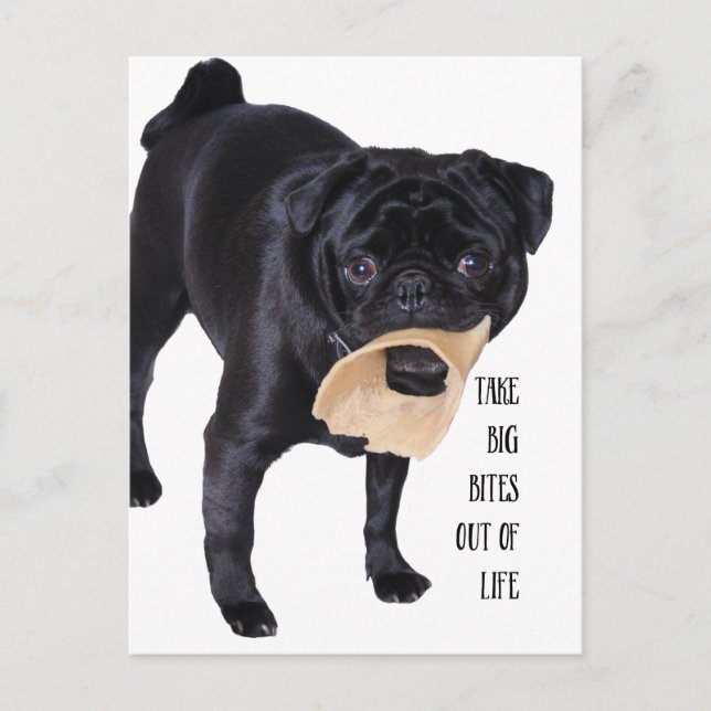 Carte Postale Sortez de la vie de gros bouchées (Devant)