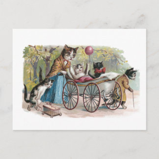 Carte Postale Sortie de famille de chats