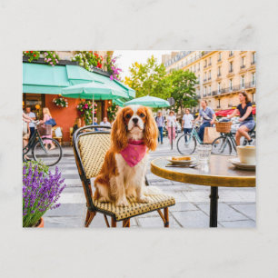 Carte Postale Sortie du spaniel en ville dans un café en plein a