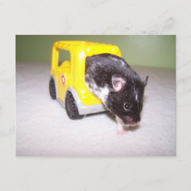 Carte Postale sortie d'urgence Noah (Devant)