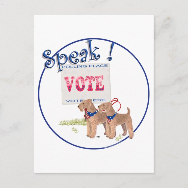 Carte Postale Sortir du vote (Devant)