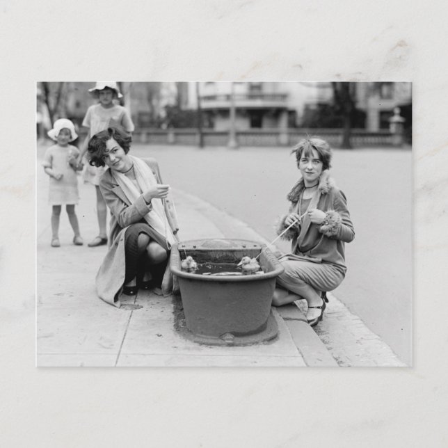 Carte Postale Sortir Les Canards Pour Nager (Devant)