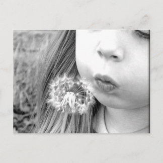 Carte Postale Souhait