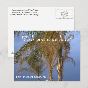 Carte Postale Souhaitez-vous être ici Point Pleasant Beach NJ