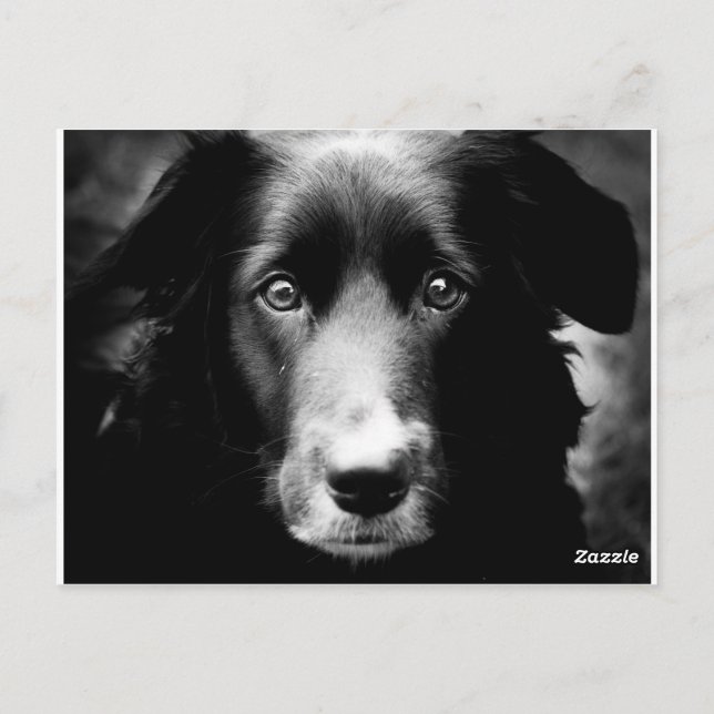 Carte Postale Soul Eyes (Dos)