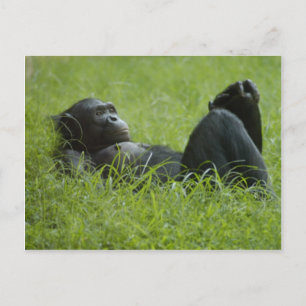 Carte Postale Soulagement du stress