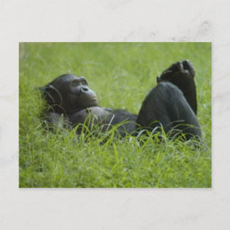 Carte Postale Soulagement du stress