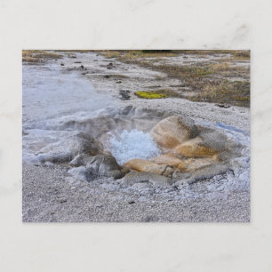 Carte Postale Source Shell à Yellowstone National Park, Wyoming