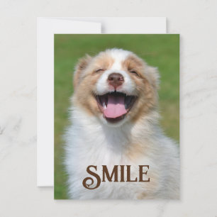 Carte postale Souriant Chien Chien Chien Coquelico