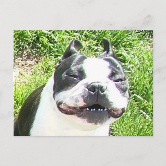 Carte Postale Sourire (Devant)