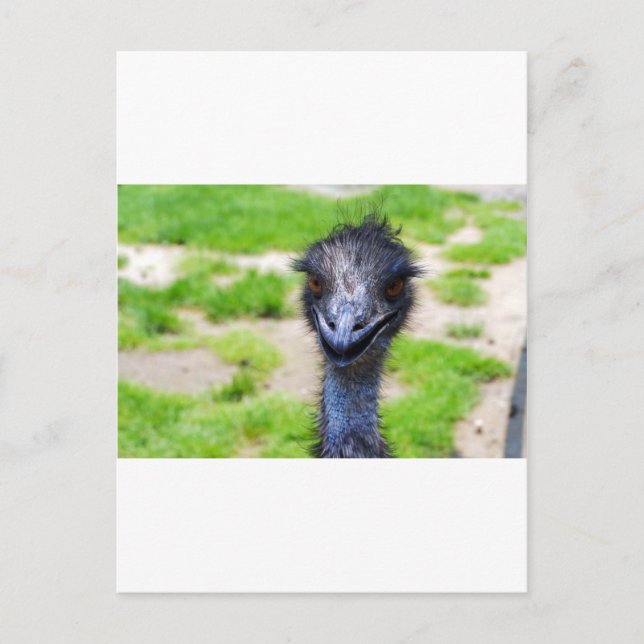 Carte Postale Sourire (Devant)