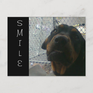 CARTE POSTALE SOURIRE