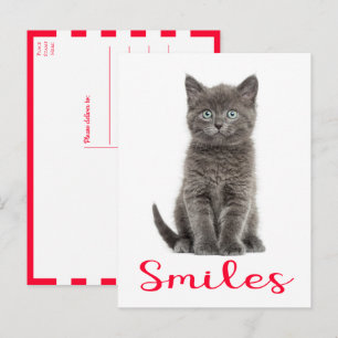 Carte Postale Sourires de chaton mignon, Bonjour, Tu me manques