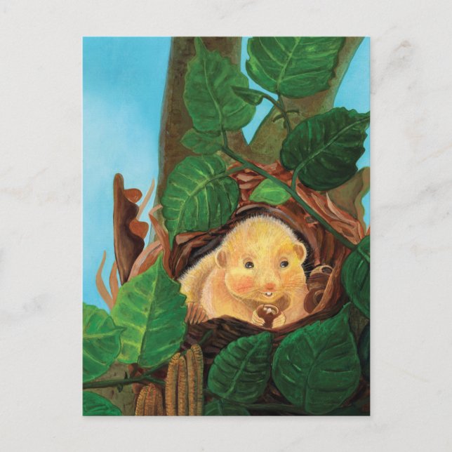 Carte Postale Souris brumeux mangeant de la noisette (Devant)
