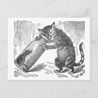 Carte Postale Souris d'espions de chat en bouteille