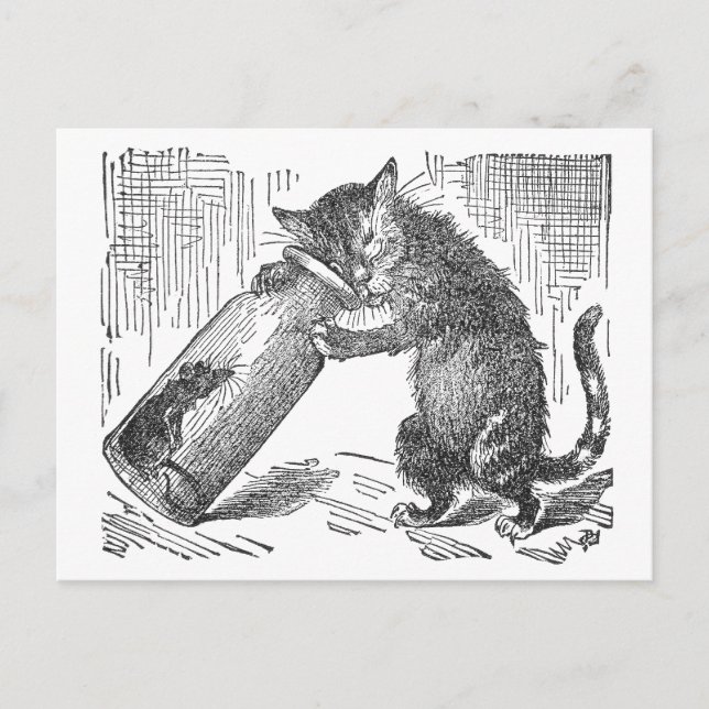 Carte Postale Souris d'espions de chat en bouteille (Devant)