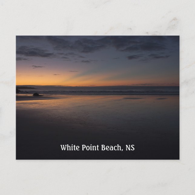 Carte Postale Souris d'été de White Point (Devant)