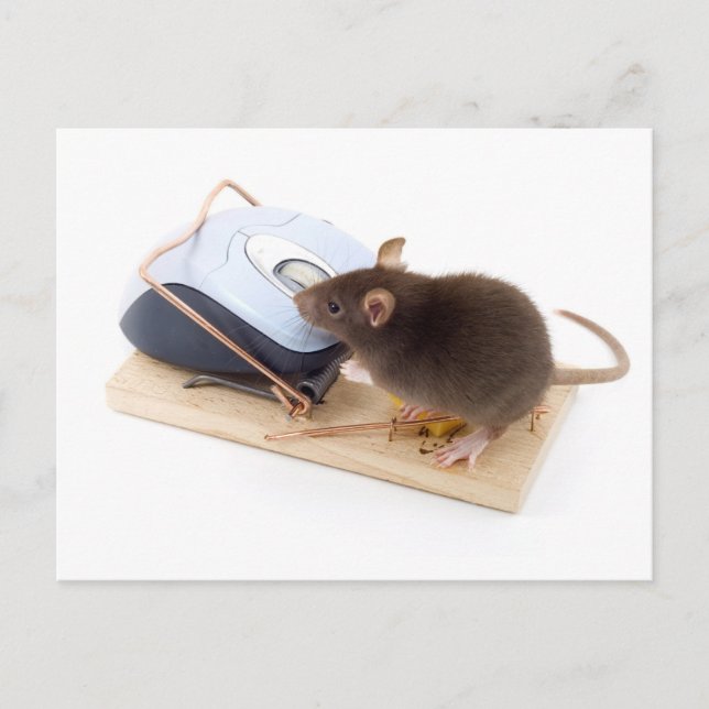 Carte Postale Souris intelligente (Devant)