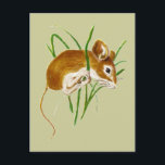 Carte Postale Souris Mignonnes, Souris Aquarelle Animal Nature<br><div class="desc">Souris Mignonnes,  Souris Aquarelle Animal Nature</div>