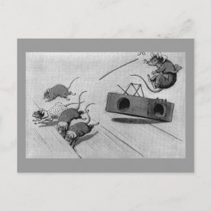 Carte Postale Souris sources sûres Mousetrap