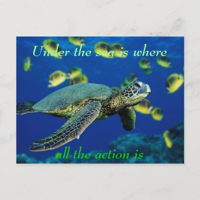 Carte Postale Sous la mer - Tortue de mer (Devant)