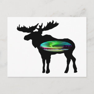 CARTE POSTALE SOUS L'AURORA